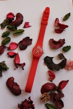 Часы Swatch с длинным ремешком (красные)